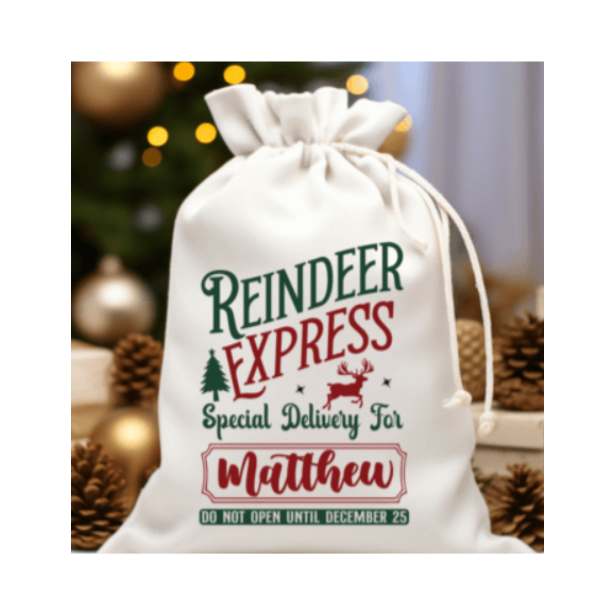 Custom Santa/Holiday Sack